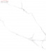 Плитка Laparet Atlantic White Glossy rect (60х60)
